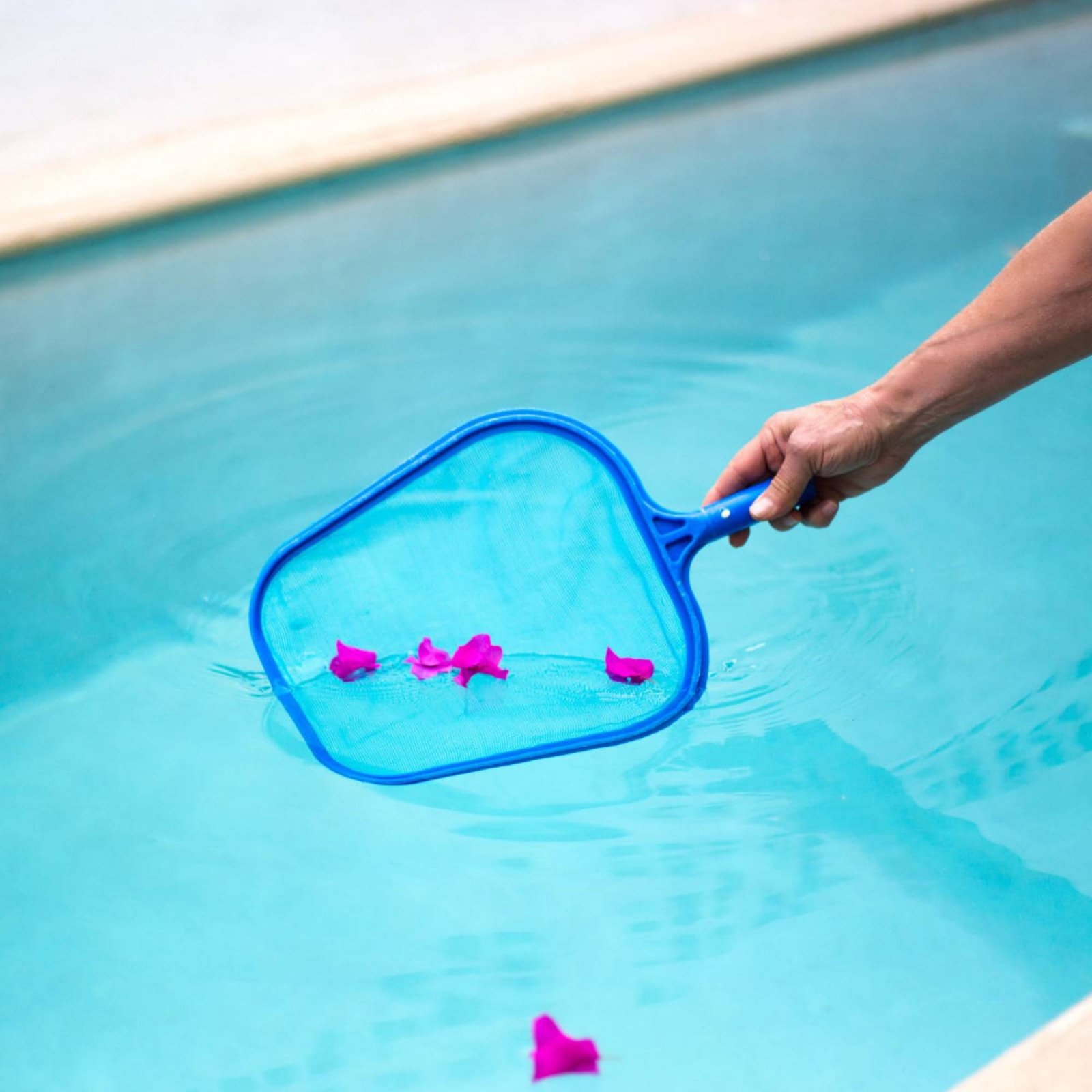 Detachable Pool Foliage Net Ea - Pool Skimmer Net ulasan dan harga